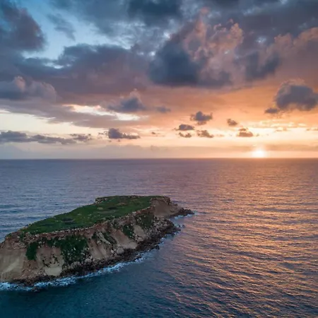 Kalisto فيلة Kato Yialia